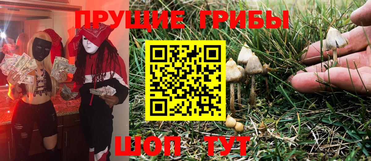 Ипатово  продажа наркотиков  Вход с VPN  Псилоцибиновые грибы мухоморы 
